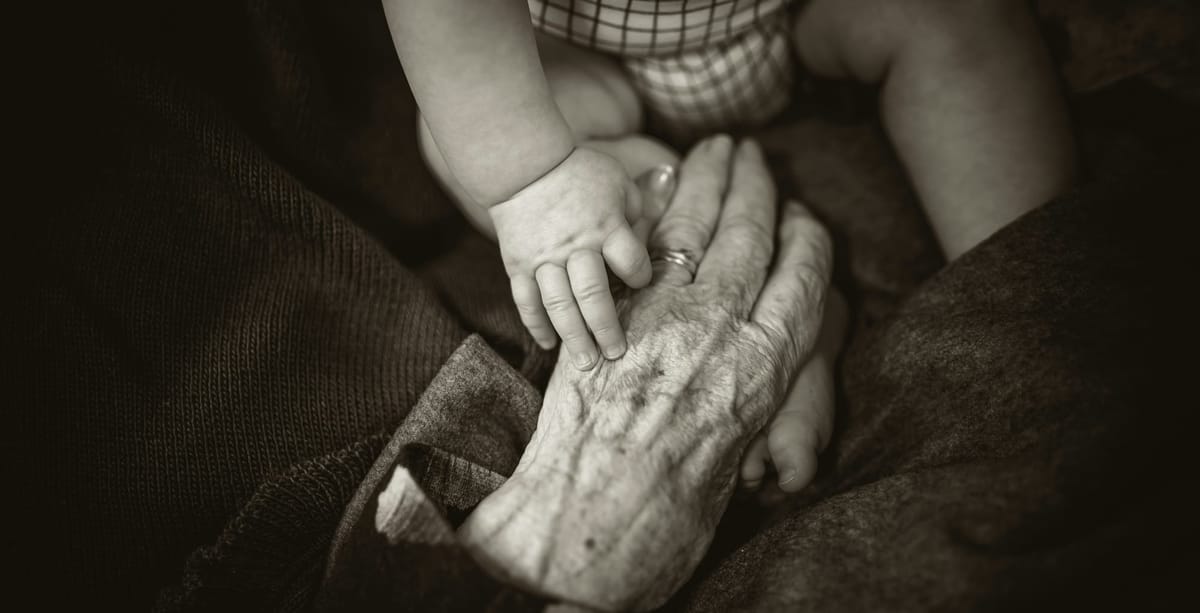 Industry Update, November 2023