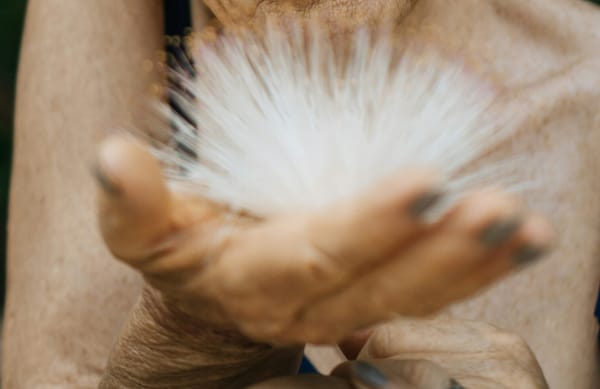 Industry Update, October 2025