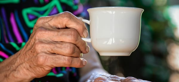 Industry Update, August 2023