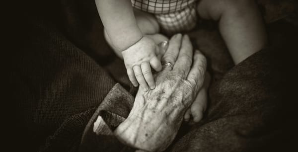 Industry Update, November 2023