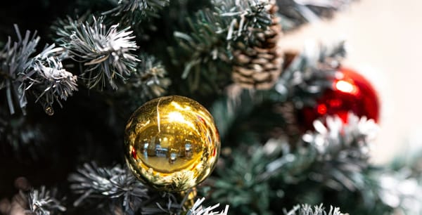 Industry Update, December 2023